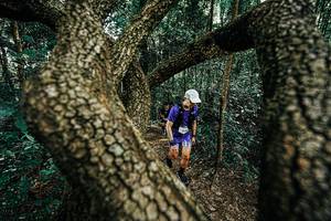 BIB: 
                            <button type="button" onclick="openModal(25392657)" class="btn btn-primary btn-sm float-right btn-popup" data-toggle="modal" data-target=".modal-high-quality">
                        <i class="fas fa-shopping-cart"></i> Add to Cart
                    </button>
                                            <button type="button" onclick="isThisMe(25392657, true)" class="btn btn-success btn-sm float-right btn-popup btn-isme hidden" data-toggle="tooltip" data-placement="bottom" title="นี่คือรูปของคุณใช่ไหม คลิกที่นี่เพื่อเอาเข้าอัลบั้ม">
                        <i class="fas fa-plus"></i> Add to album
                    </button>
                    <button type="button" onclick="isThisMe(25392657, false)" class="btn btn-warning btn-sm float-right btn-popup btn-isnotme hidden">
                        <i class="fas fa-ban"></i> Remove from album
                    </button>